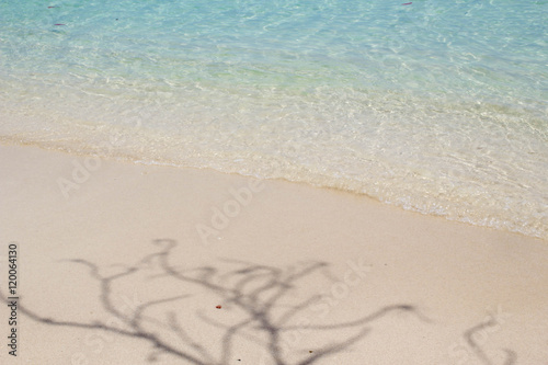 tree shadow on beach
