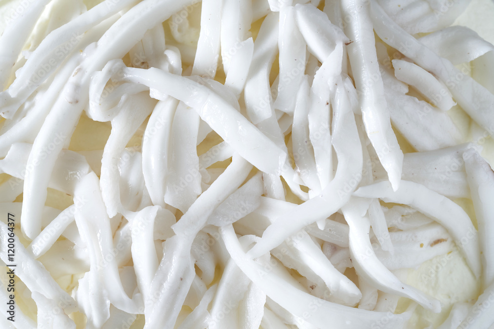 Coconut slice background texture Coconut slice background texture