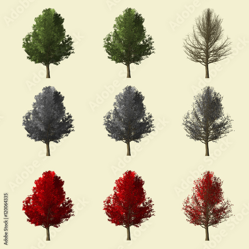 Spruce tree season change set,summer winter autumn 3d rendering isolated for landscape designer.