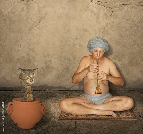 A cat looks like a hairy snake. This strange reptile sits in a pot. A fakir is playing a flute near it. photo