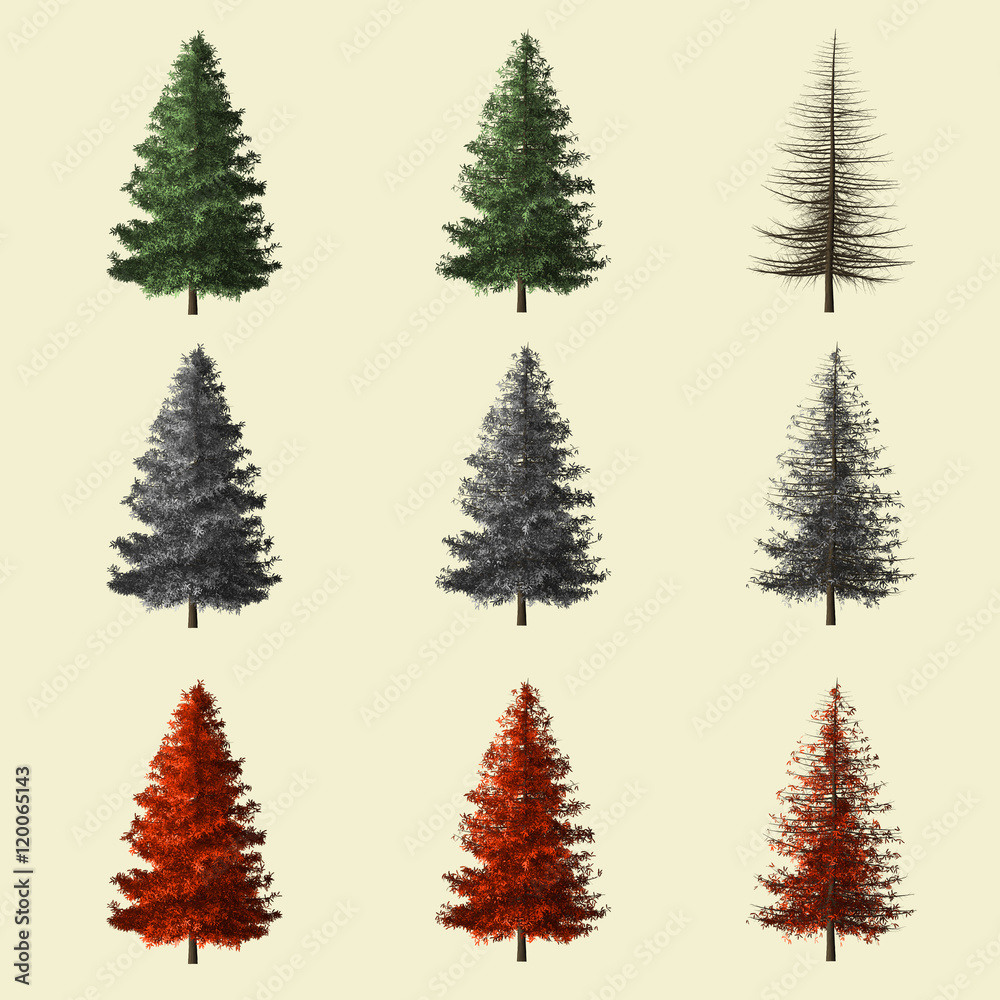 Obraz premium Spruce tree season change set,summer winter autumn 3d rendering isolated for landscape designer.