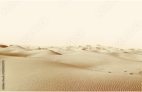 landscape "dunes in the desert"