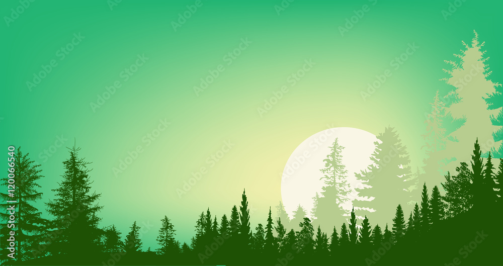 green forest and large sun illustration