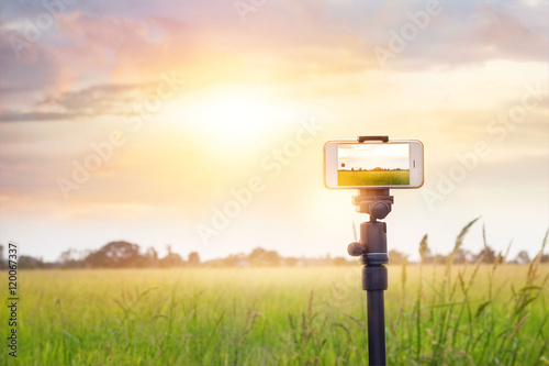 Smartphone on tripod record timelapse in the sunset nature backgound