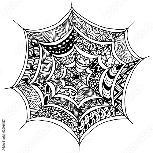 Hand drawn spider's web  in doodle style. Vector illustration