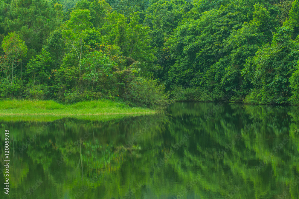 beautiful green lake mountain forest background beautiful green lake mountain forest background