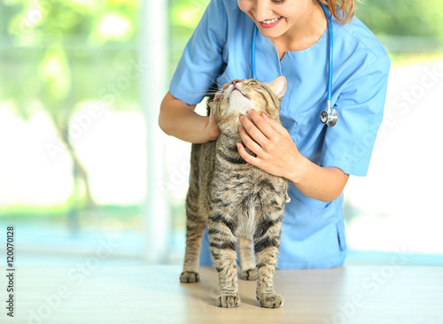 Veterinarian doctor checkin...