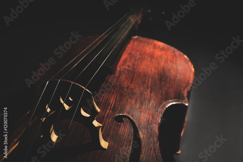 Part of musical string instrument, closeup