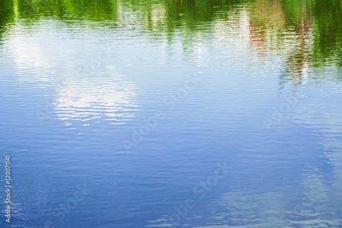 Trees, sky reflection surface in the evening.