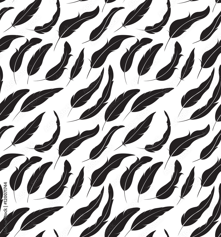 Seamless vector pattern with feathers. Black and white illustrat
