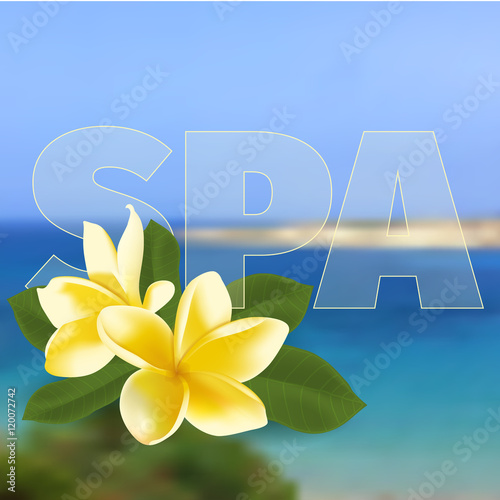 Spa concept with blurred seaside background and realistic vector frangipani