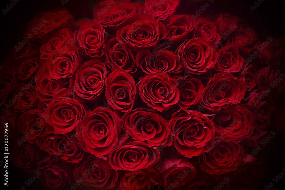 Claret roses bouquet. Red roses background. Top view. Claret roses bouquet. Red roses background. Top view.