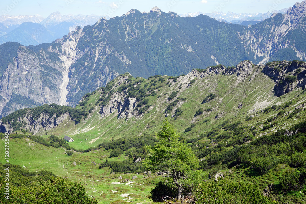 Naklejka premium Farm house in Lichtenstein