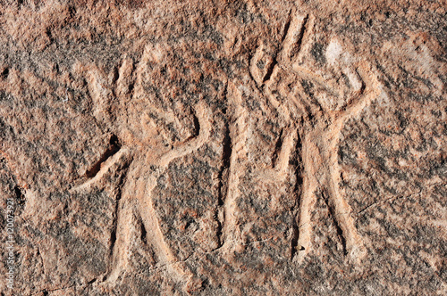 Peru, Toro Muerto Petroglyphs