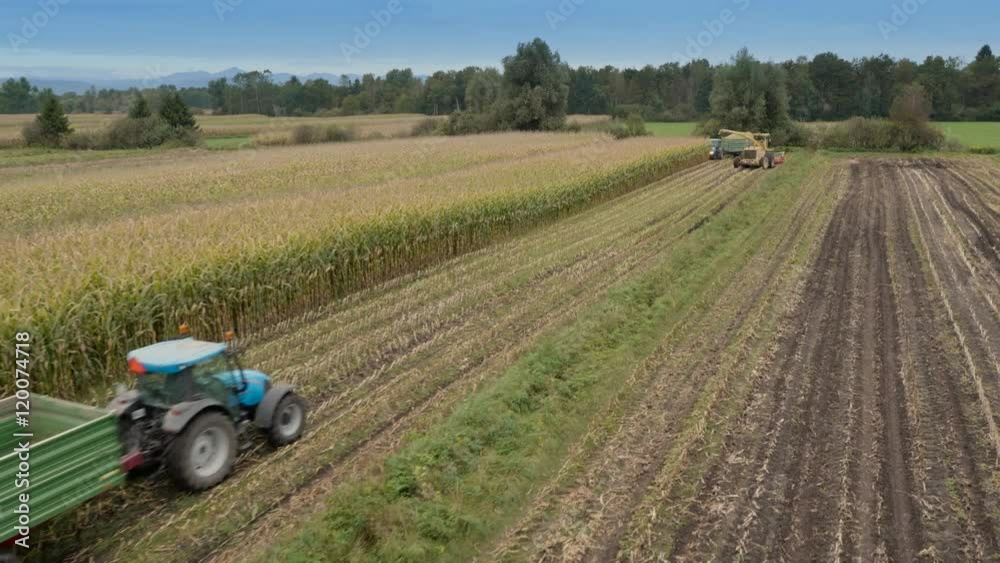 Aerial shot how empty tractor approaching into the corn field
Aerial shot how empty tractor approaching into the corn field