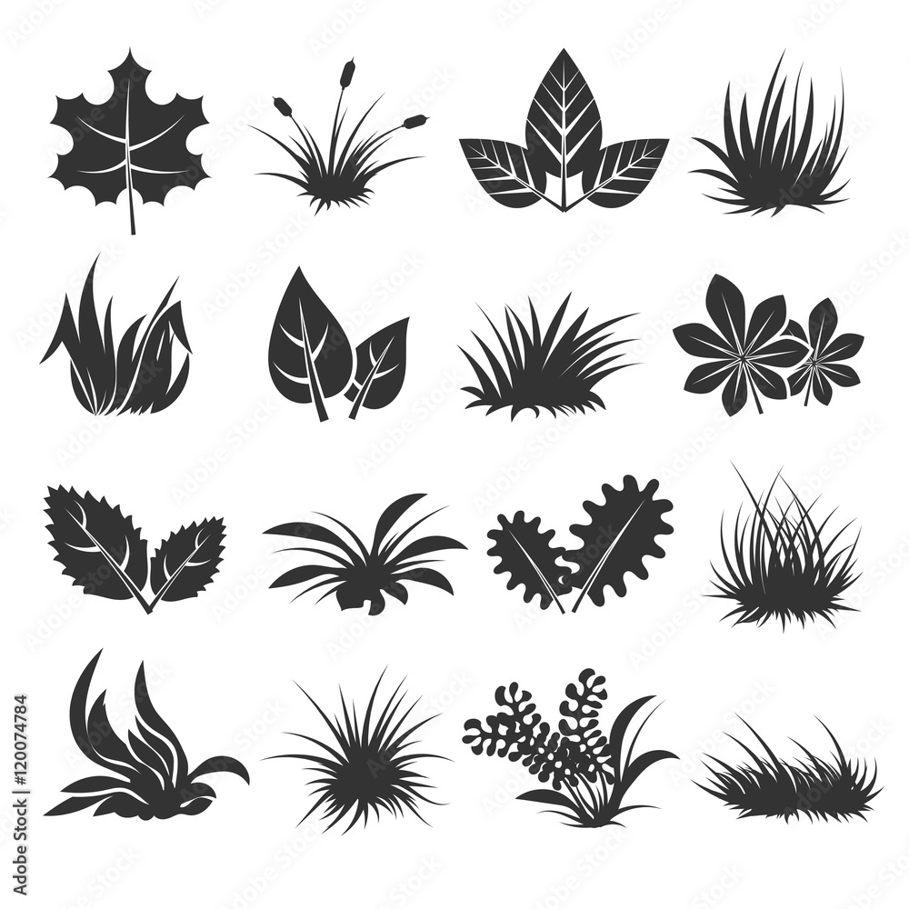 Leaves and grass vector icons