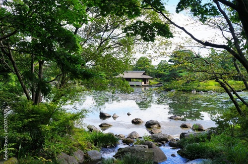 夏の日本庭園