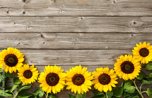 sunflowers on wooden board