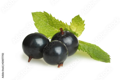 Black currant isolated on white background