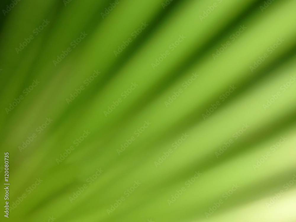 Abstract green background Abstract green background