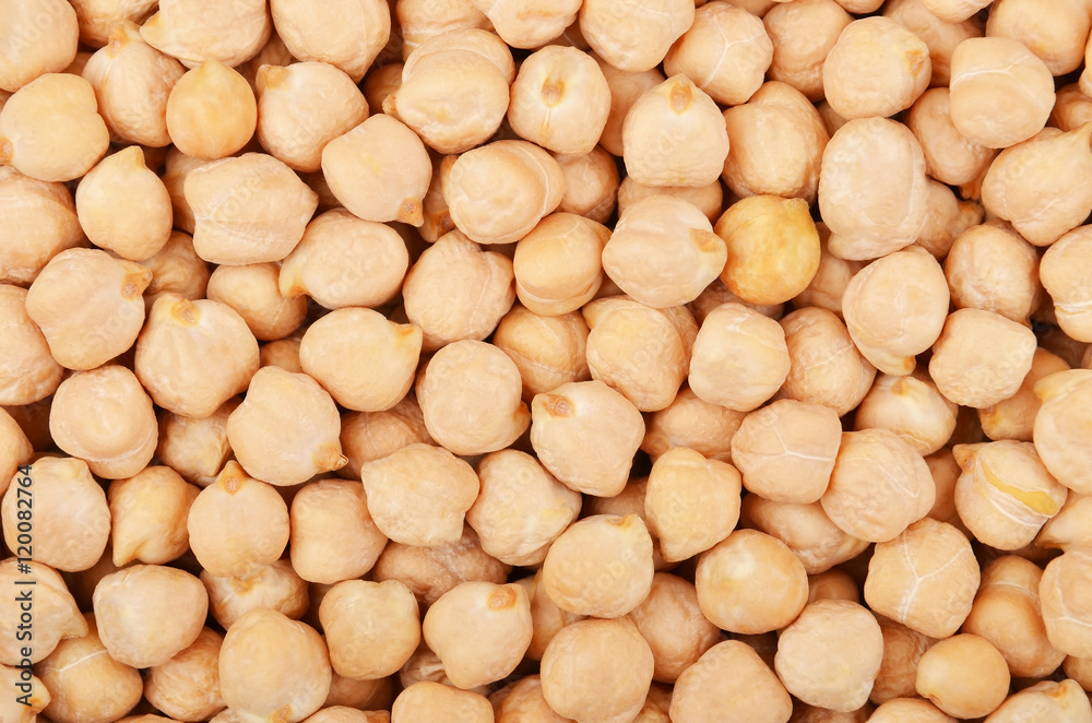 Close up of chickpea Close up of chickpea