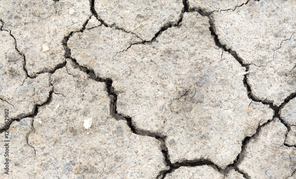 Obraz premium Crack soil on dry season, Global warming / cracked dried mud / Dry cracked earth background / The cracked ground, Ground in drought, Soil texture and dry mud, Dry land.