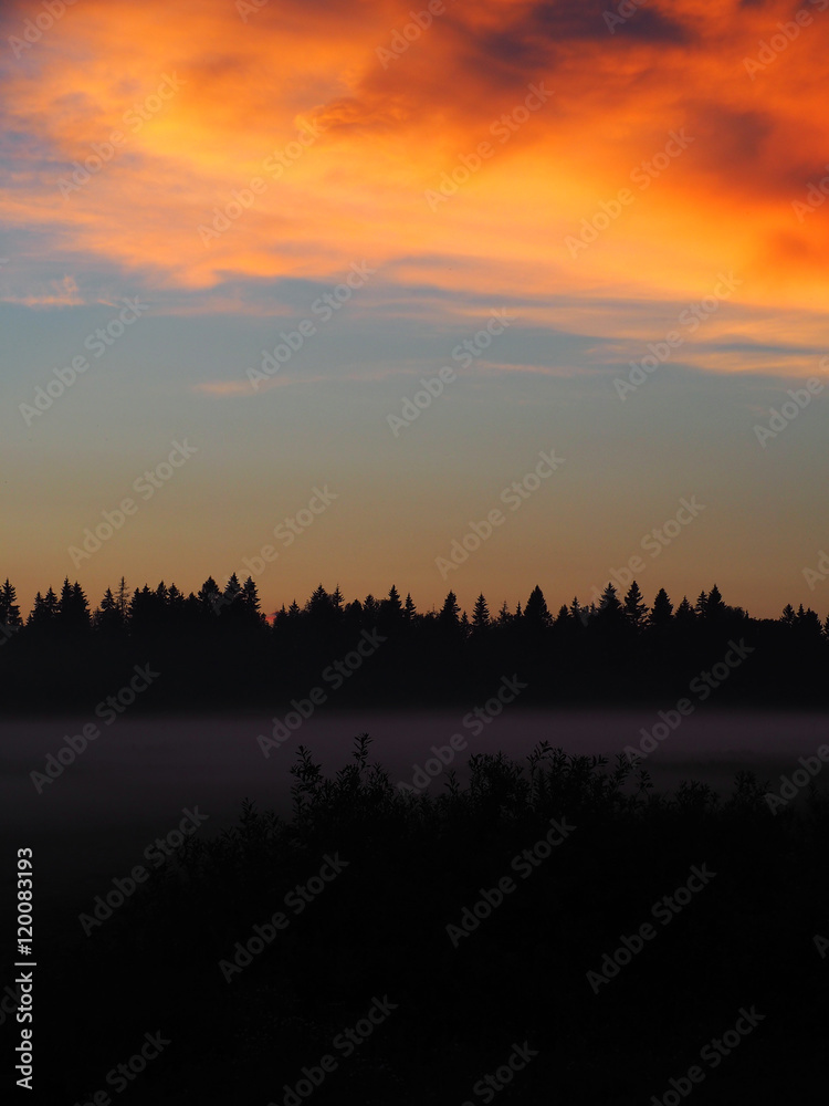 Sunset (fog over the field)