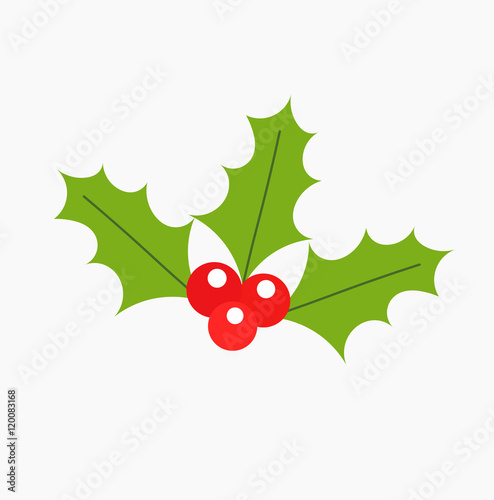 Holly berry icon