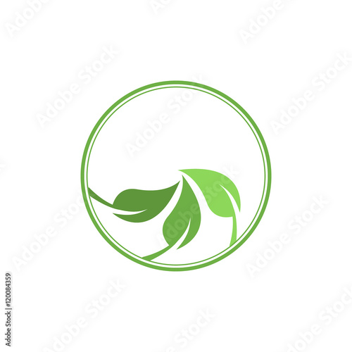 Vector abstract illustration - eco lifestyle concept.Vegetarian.