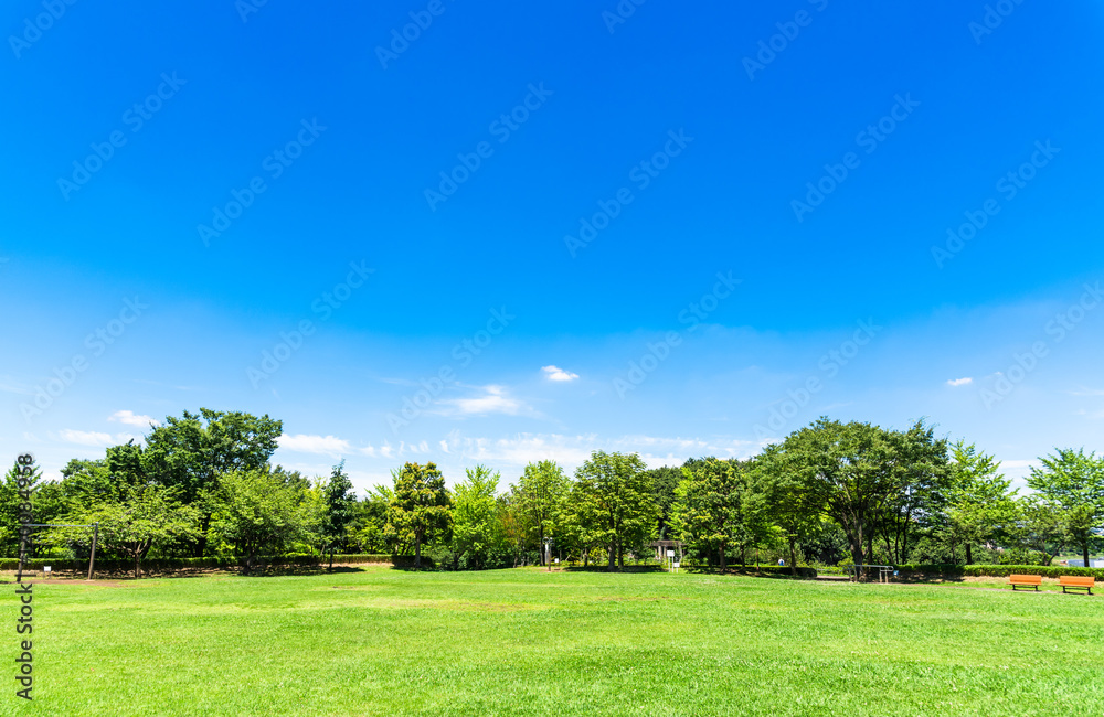 青空と公園の広場