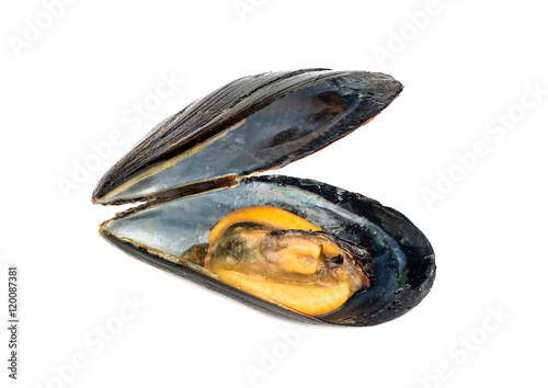 Prepared mussels isolate
