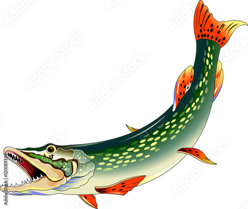 pike