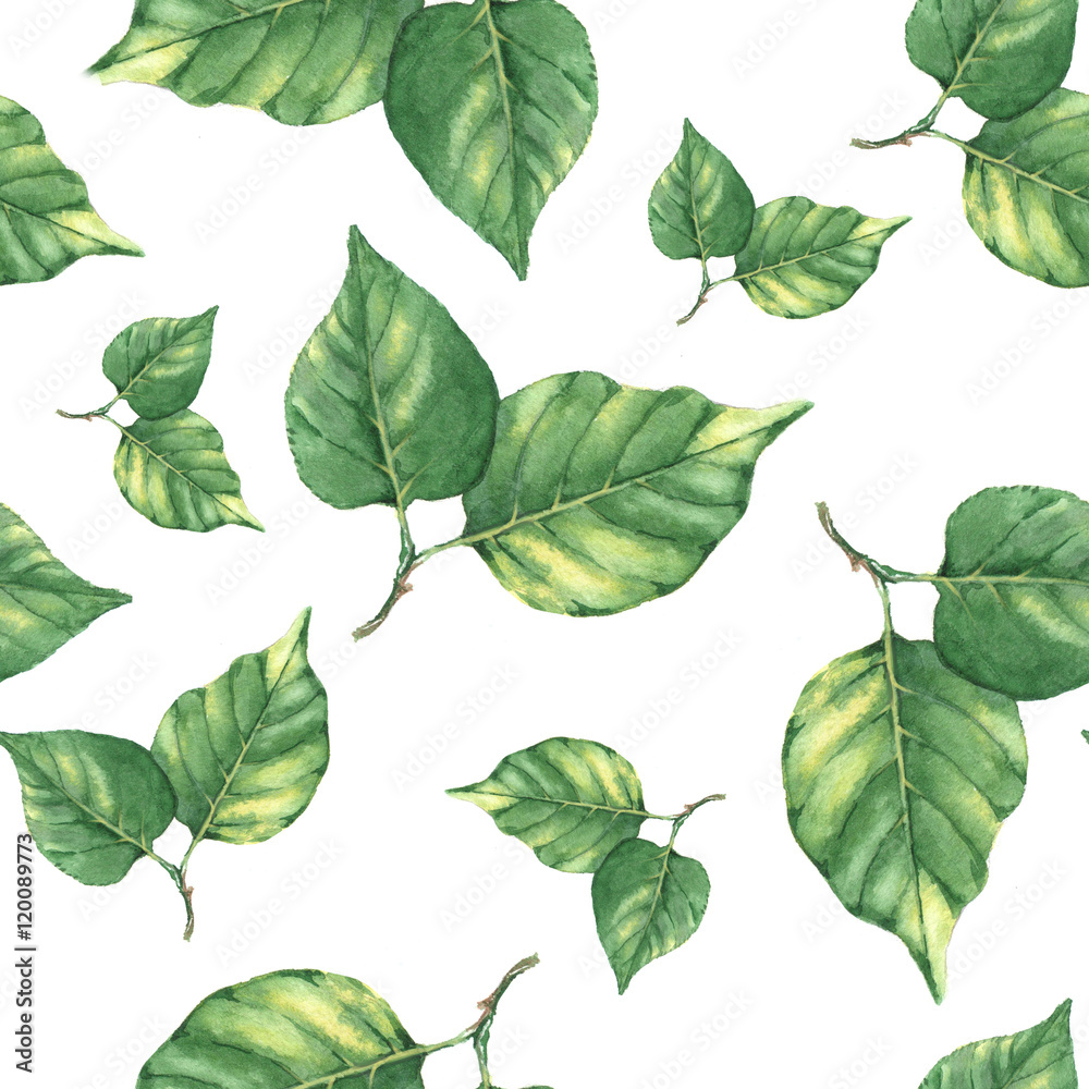 Hand-drawn watercolor seamless pattern with fresh green leaves. Light repeated pattern for wallpapers or the textile print. Hand-drawn watercolor seamless pattern with fresh green leaves. Light repeated pattern for wallpapers or the textile print.