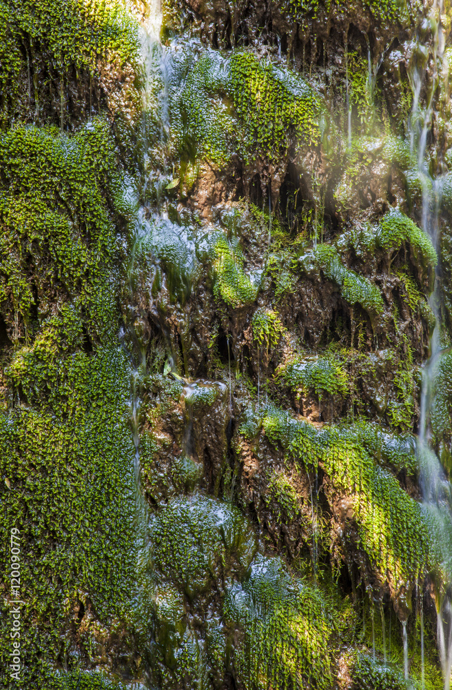 waterfall background green grass waterfall background green grass