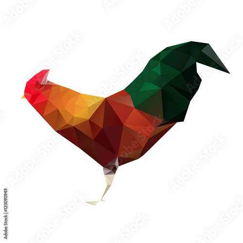 colorful and vivid rooster polygon,