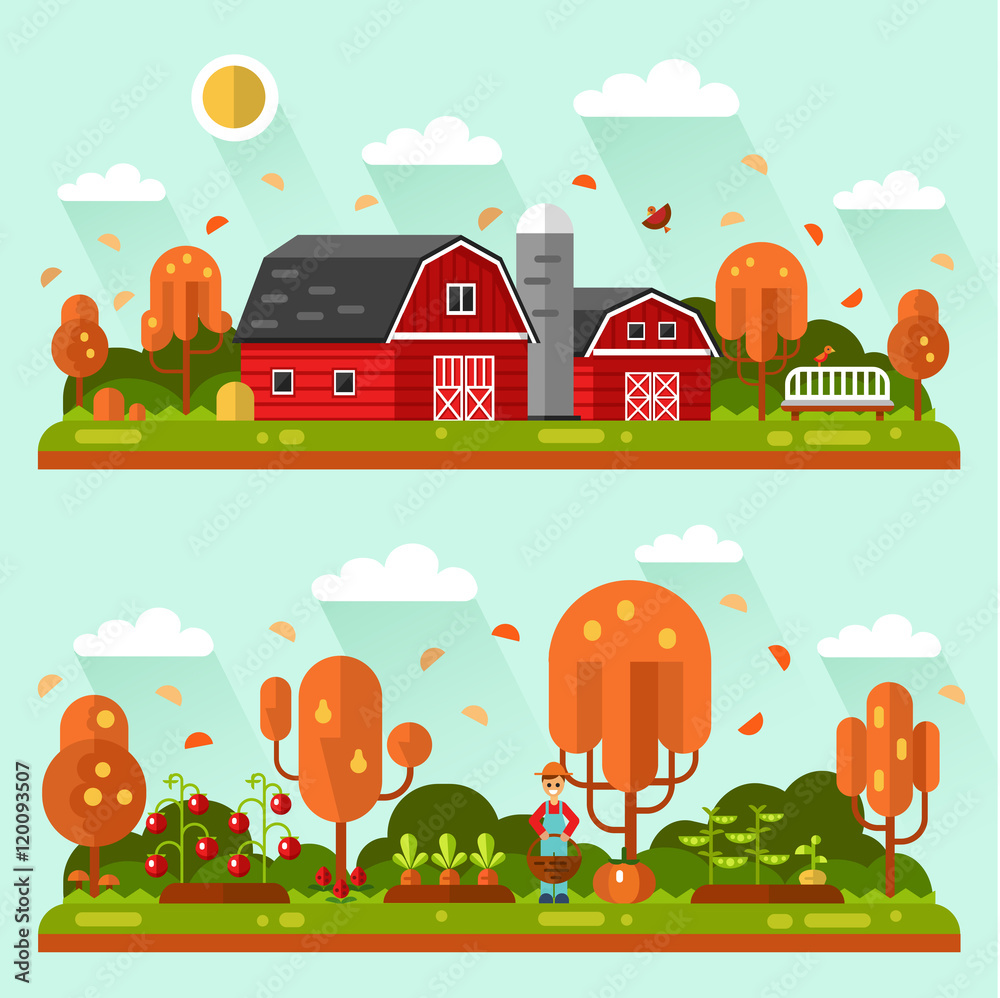 Flat design vector autumn landscape illustrations with farm barn, bench, leaf fall. Garden with beds of carrots, tomatoes, gardener. Farming, agricultural, organic products concept.