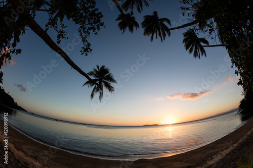 Fototapeta Naklejka Na Ścianę i Meble -  Coconut Palm Trees, Ocean, and Sunset