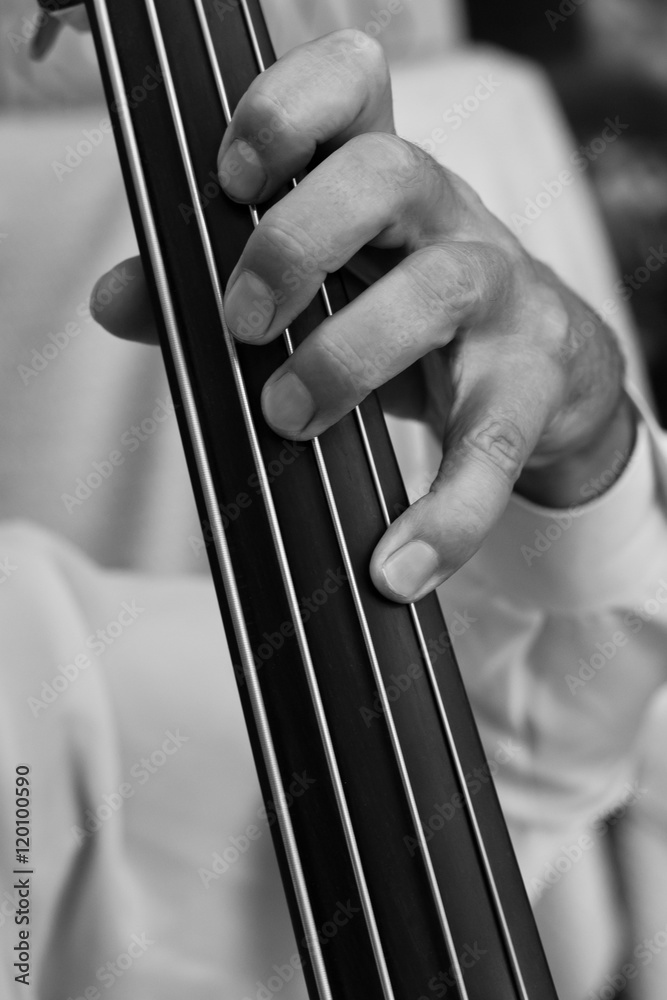 Musician's fingers on the strings bass closeup in black and white Musician's fingers on the strings bass closeup in black and white