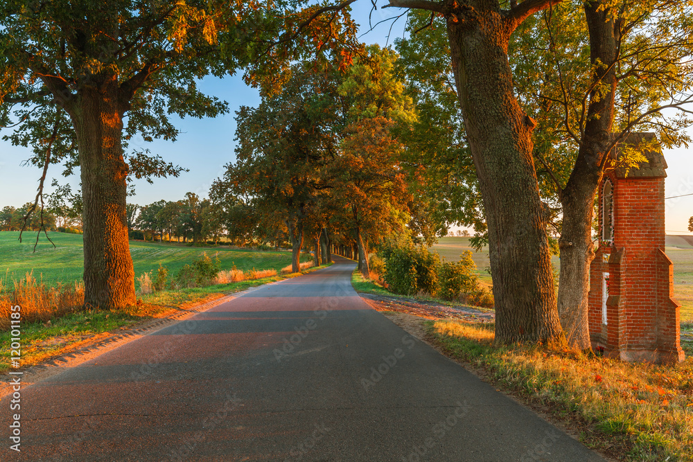 Beautiful romantic autumn alley colorful trees and sunlight
