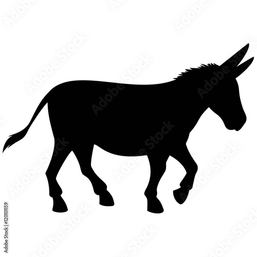 Leinwand Poster Donkey Walking Silhouette