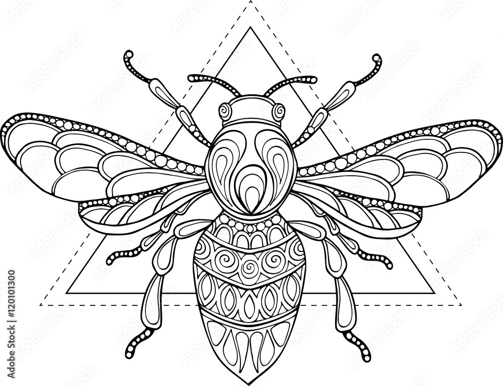 Doodle vector hand drawn bee illustration Stock Vector | Adobe Stock