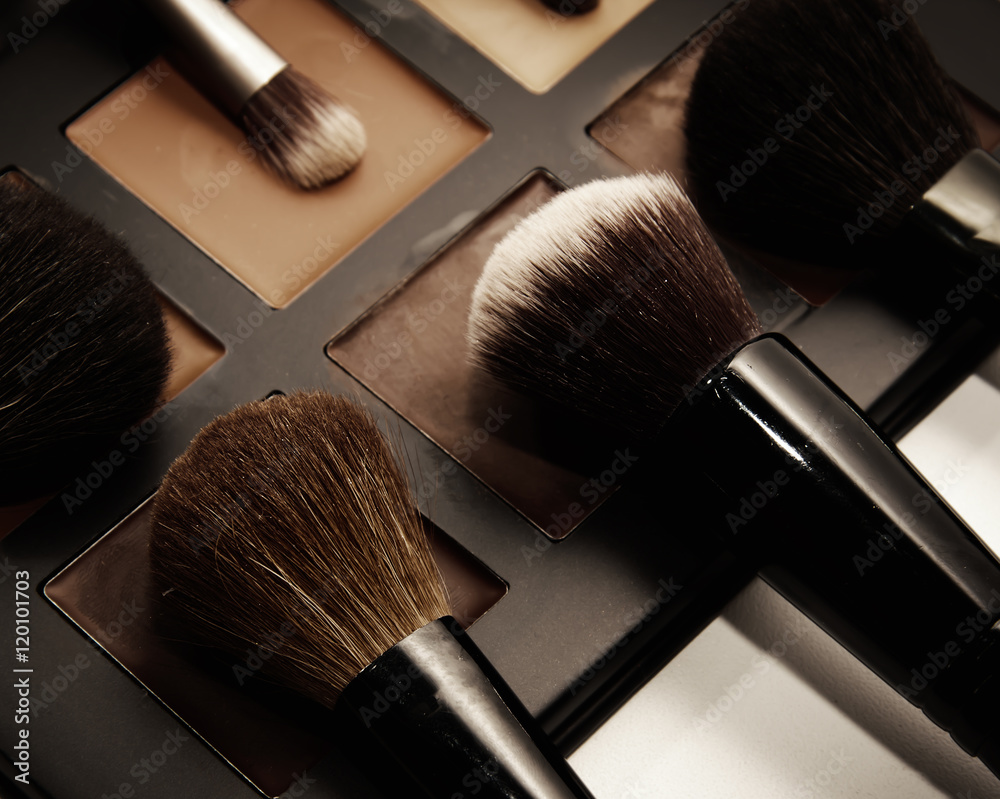 Makeup brushes and rouges