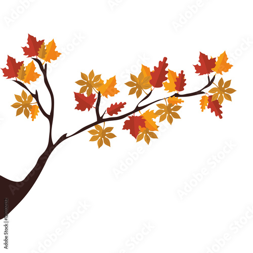 tree branch with autumn season dry leaves vector illustration