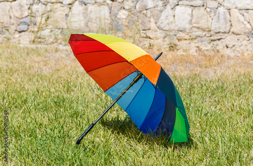 umbrella on green grass