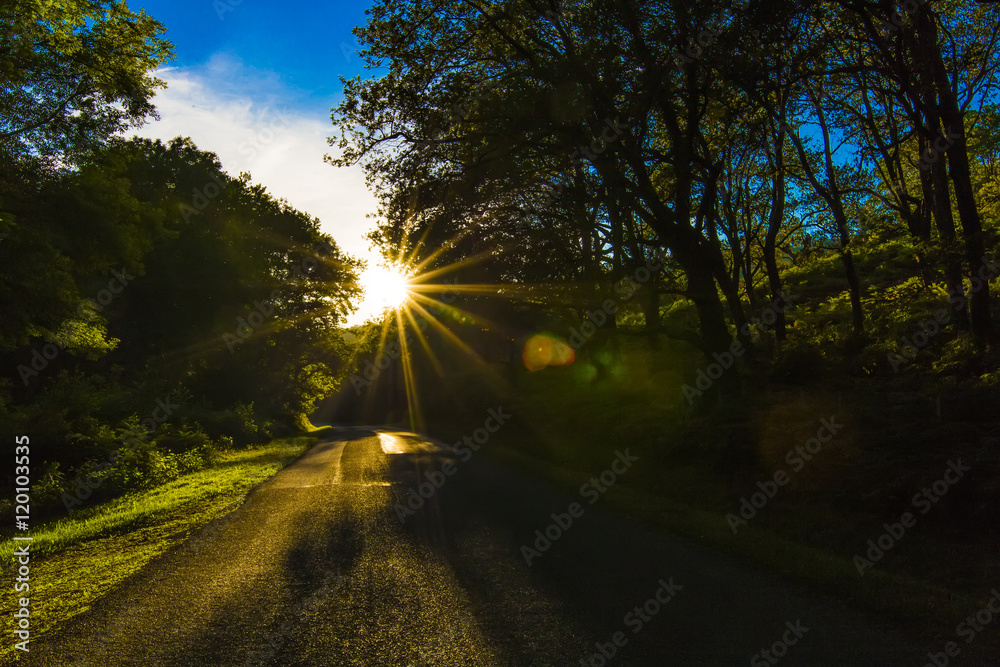 Rural asphalt road with bright sunlight