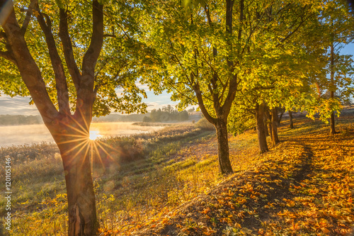 Fototapeta Naklejka Na Ścianę i Meble -  misty morning on Mazury lake
