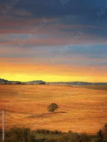 autumn hills