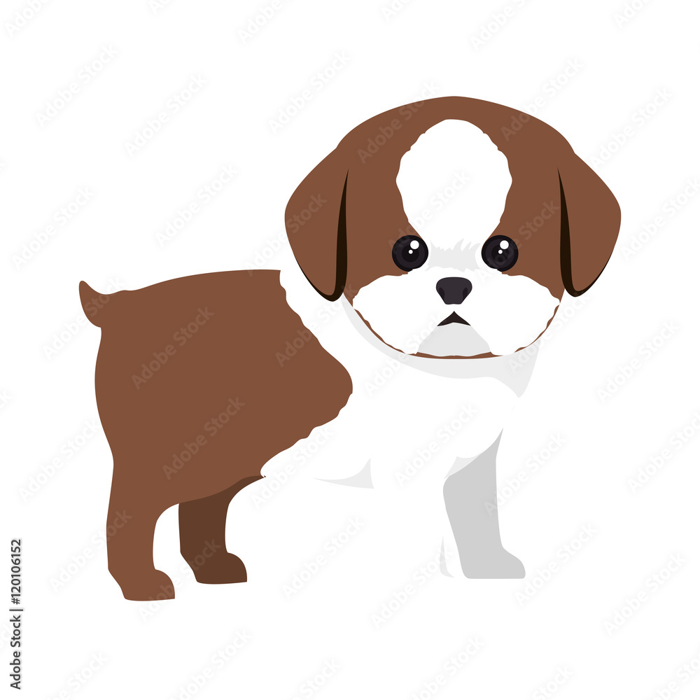 dog canine pet animal. puppy cartoon. vector illustration