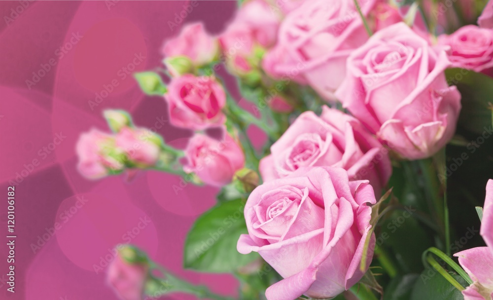 Flower. Flower.