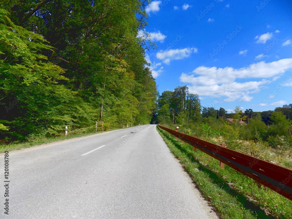 Asphalt road in deciduous forest Asphalt road in deciduous forest